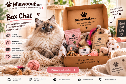 Box Chat Miawoouf personnalisée