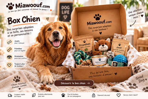 Box Chien Miawoouf personnalisée